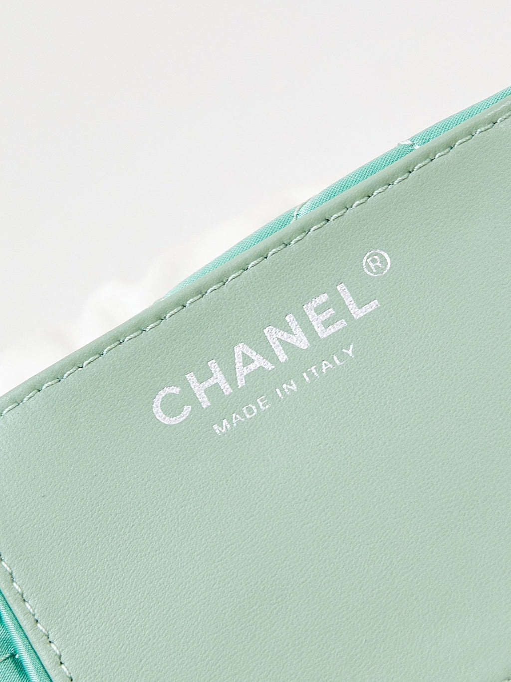 CHANEL MINI 20 HOBO BAG IN WHITE MIX LIGHT GREEN CALFSKIN